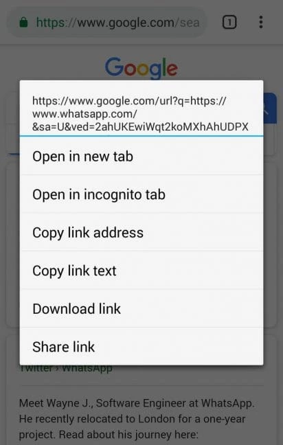 Google Chrome — 截圖 3
